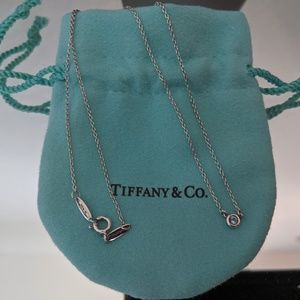 Tiffany Elsa Peretti Color By The Yard Necklace